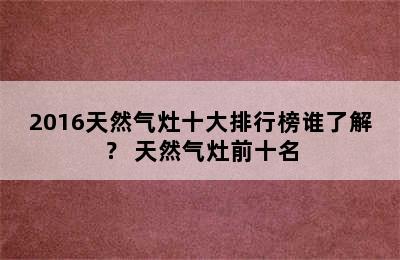 2016天然气灶十大排行榜谁了解？ 天然气灶前十名